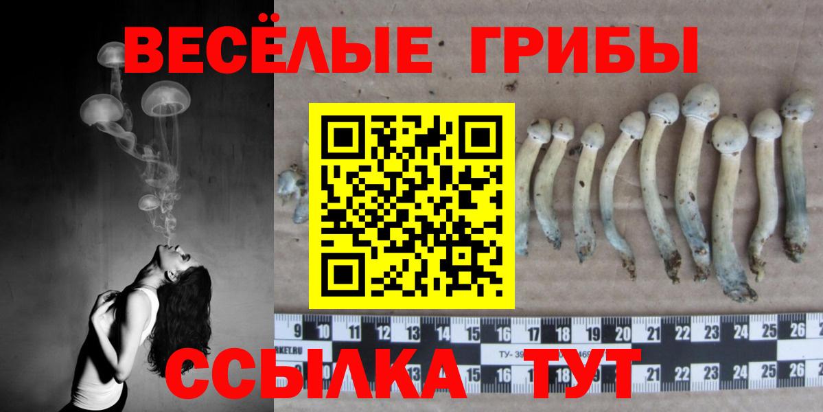 Псилоцибиновые грибы Psilocybe  Вход с VPN  Керчь 