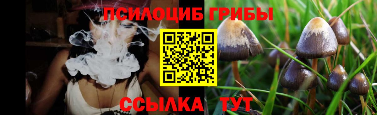 Галлюциногенные грибы Psilocybine cubensis Керчь